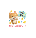 【BIG】柴犬の誕生日＆お祝い＆ありがとう（個別スタンプ：24）