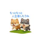 【BIG】柴犬の誕生日＆お祝い＆ありがとう（個別スタンプ：34）