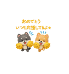 【BIG】柴犬の誕生日＆お祝い＆ありがとう（個別スタンプ：35）