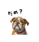 毎日使える大人可愛いブルドッグ（個別スタンプ：4）