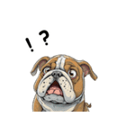 毎日使える大人可愛いブルドッグ（個別スタンプ：6）