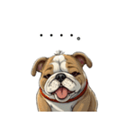 毎日使える大人可愛いブルドッグ（個別スタンプ：7）