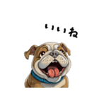 毎日使える大人可愛いブルドッグ（個別スタンプ：8）