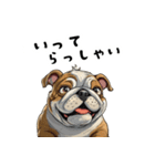 毎日使える大人可愛いブルドッグ（個別スタンプ：9）