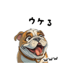 毎日使える大人可愛いブルドッグ（個別スタンプ：10）