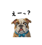 毎日使える大人可愛いブルドッグ（個別スタンプ：11）