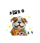 毎日使える大人可愛いブルドッグ（個別スタンプ：12）