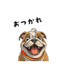 毎日使える大人可愛いブルドッグ（個別スタンプ：13）