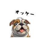 毎日使える大人可愛いブルドッグ（個別スタンプ：14）