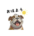毎日使える大人可愛いブルドッグ（個別スタンプ：15）