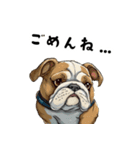 毎日使える大人可愛いブルドッグ（個別スタンプ：17）
