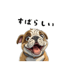 毎日使える大人可愛いブルドッグ（個別スタンプ：19）