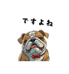 毎日使える大人可愛いブルドッグ（個別スタンプ：23）