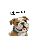 毎日使える大人可愛いブルドッグ（個別スタンプ：25）