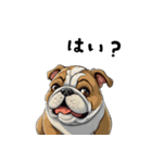 毎日使える大人可愛いブルドッグ（個別スタンプ：26）