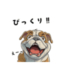 毎日使える大人可愛いブルドッグ（個別スタンプ：28）