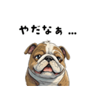 毎日使える大人可愛いブルドッグ（個別スタンプ：30）