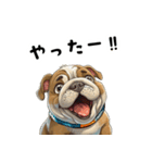 毎日使える大人可愛いブルドッグ（個別スタンプ：31）