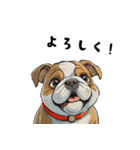 毎日使える大人可愛いブルドッグ（個別スタンプ：32）