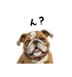 毎日使える大人可愛いブルドッグ（個別スタンプ：34）