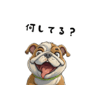 毎日使える大人可愛いブルドッグ（個別スタンプ：35）