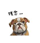 毎日使える大人可愛いブルドッグ（個別スタンプ：38）