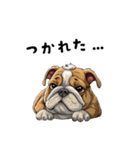 毎日使える大人可愛いブルドッグ（個別スタンプ：39）