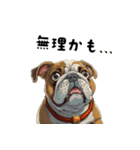 毎日使える大人可愛いブルドッグ（個別スタンプ：40）
