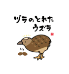 かわいい動物と海の生き物たちのスタンプ（個別スタンプ：32）