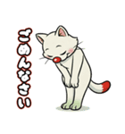 猫茶の1日（日本猫） スタンプ（個別スタンプ：9）