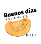 国産かぼちゃ 【スペイン語】（個別スタンプ：2）