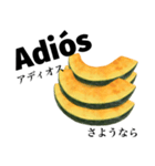 国産かぼちゃ 【スペイン語】（個別スタンプ：6）