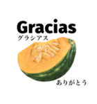 国産かぼちゃ 【スペイン語】（個別スタンプ：7）