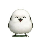 もふもふシマエナガ.1（個別スタンプ：1）