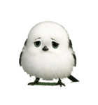 もふもふシマエナガ.1（個別スタンプ：3）