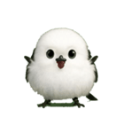 もふもふシマエナガ.1（個別スタンプ：7）