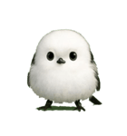 もふもふシマエナガ.1（個別スタンプ：8）
