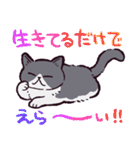 エキゾチックショートヘアです（個別スタンプ：1）