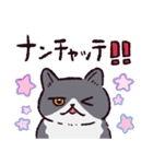 エキゾチックショートヘアです（個別スタンプ：4）