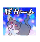 エキゾチックショートヘアです（個別スタンプ：33）