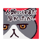 エキゾチックショートヘアです（個別スタンプ：36）