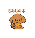 秋♡ず～っと使える♡トイプードル BIG（個別スタンプ：31）