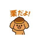 秋♡ず～っと使える♡トイプードル BIG（個別スタンプ：36）