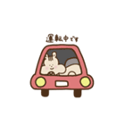 りーさんのまいにちスタンプ（個別スタンプ：37）