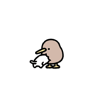 動く！超小さいキーウィと猫（個別スタンプ：3）