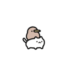 動く！超小さいキーウィと猫（個別スタンプ：19）