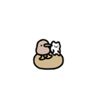 動く！超小さいキーウィと猫（個別スタンプ：24）