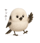 雪の妖精、シマエナガ（個別スタンプ：8）