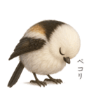 雪の妖精、シマエナガ（個別スタンプ：12）
