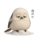 雪の妖精、シマエナガ（個別スタンプ：20）